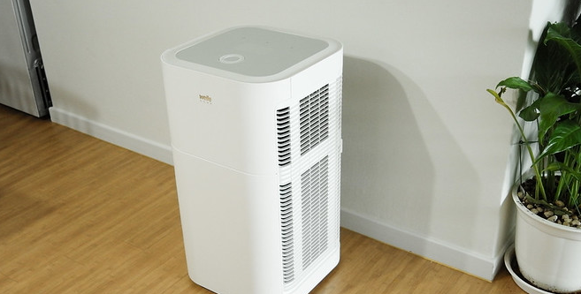  Are Air Purifiers A Waste Of Money