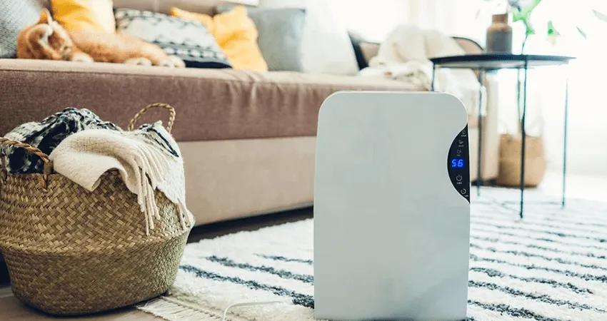Are-room-air-purifiers-effective
