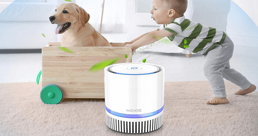Best Air Purifier For Kitchen Smells Reviewed In 2020 Top 5 Picks!