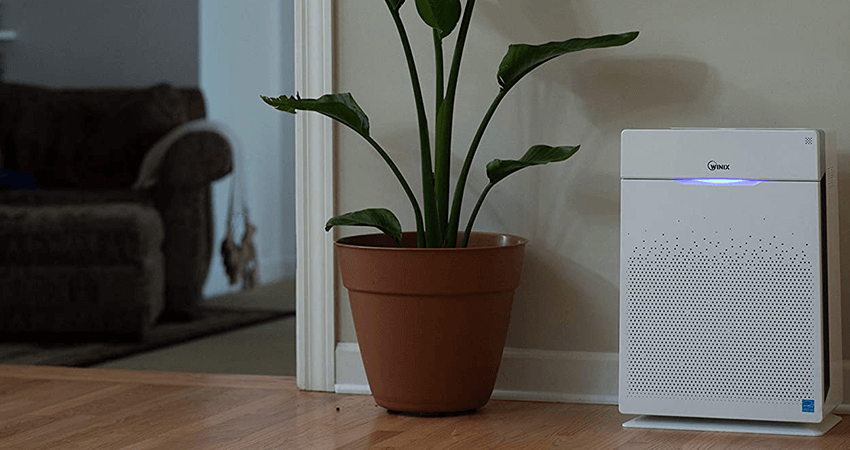 best-air-purifier-for-pets