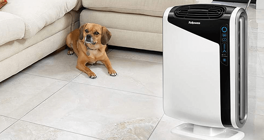 best-air-purifier-to-remove-odors