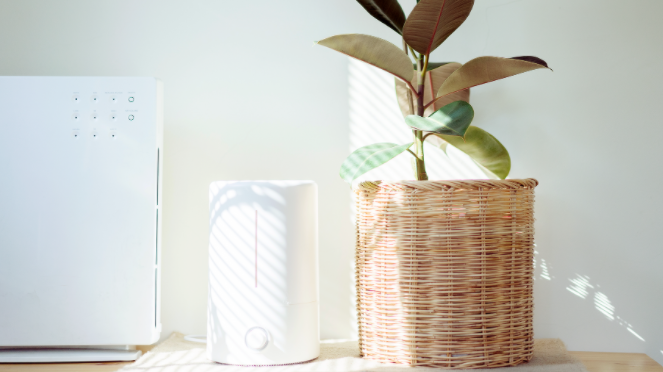 Benefits of using an air purifier