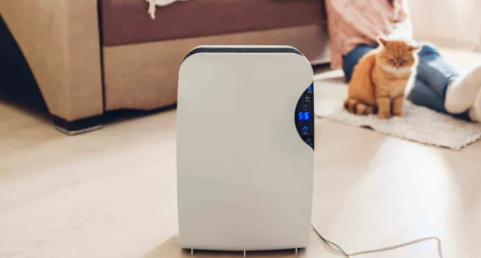 Benefits of Using a Air Purifier  for pets