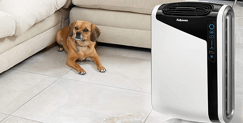 What Is The Best Air Purifier For Remove Odor