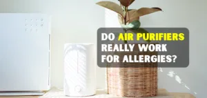Do Air Purifiers Really Work for Allergies