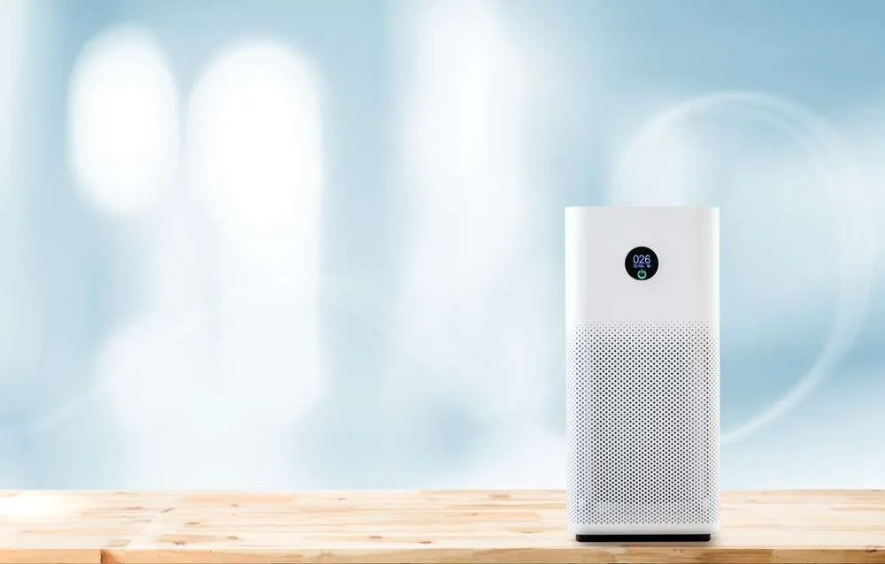 Will An Air Purifier Help With Ferret Smell Problems?