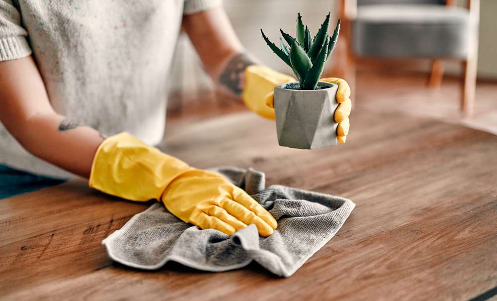 Closeup of a person cleaning dust off a table with a rag while holding a plant.