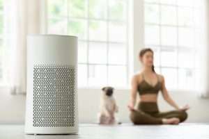 Woman and dog meditating in the background, with air purifier in the foreground