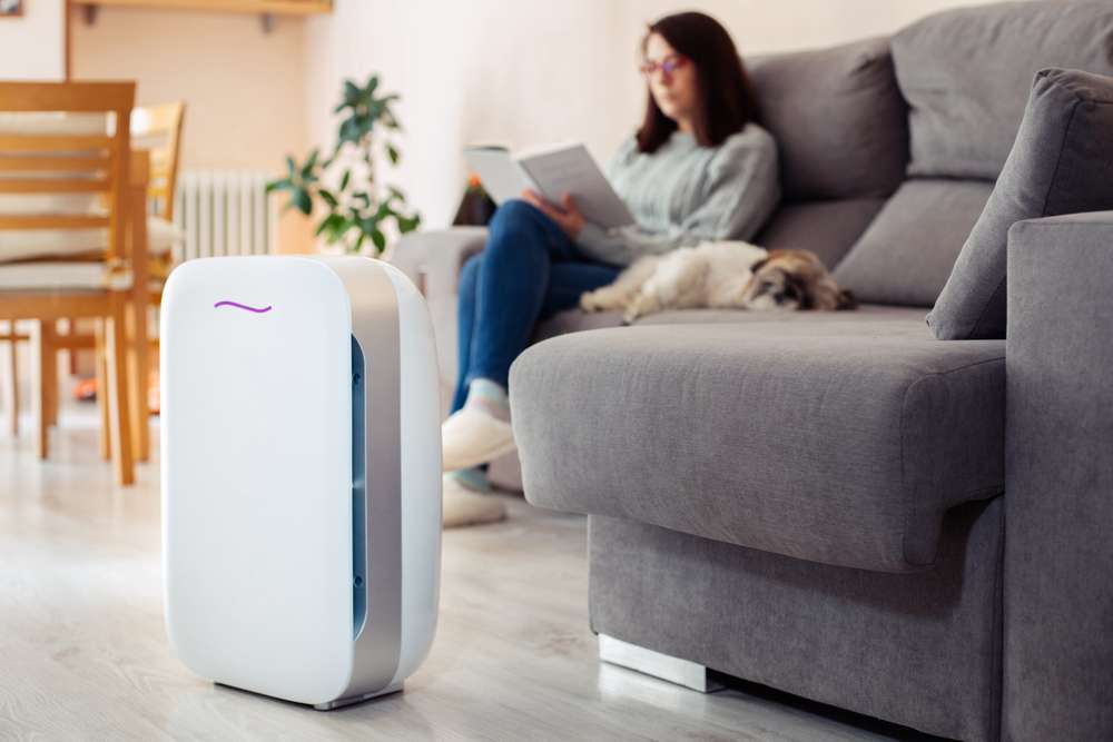 Woman and dog on a couch near an air purifier on the floor.
