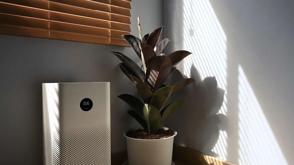 Air purifier by a window and a plant.
