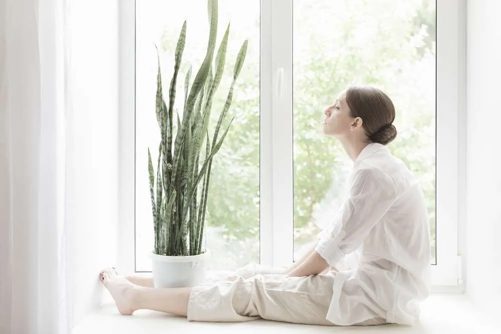 Woman sitting beside the snake plant AKA the snake plant air purifier.
