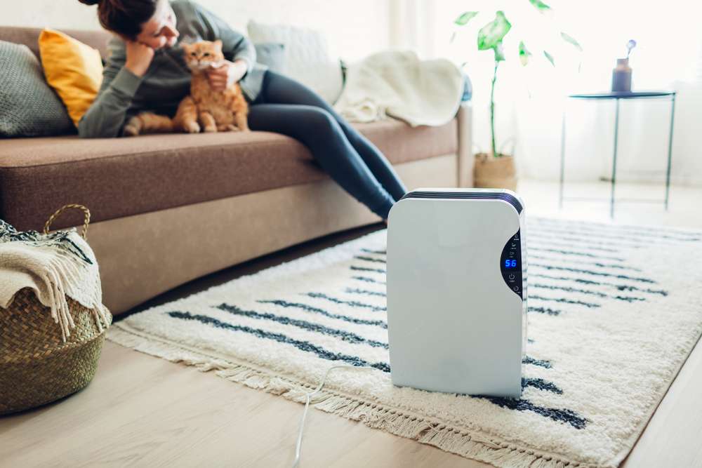 Woman with cat on couch with an air purifier on a carpet in front of them.