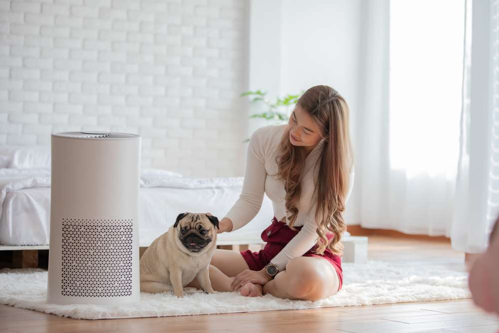 Woman petting her dog as they sit by an air purifier.